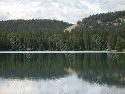 forest reflection in a calm lake