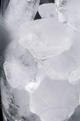 Ice cubes closeup