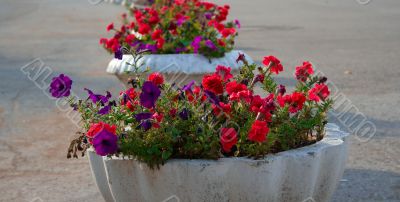 Street vases with the flowers Street vases with the flowers