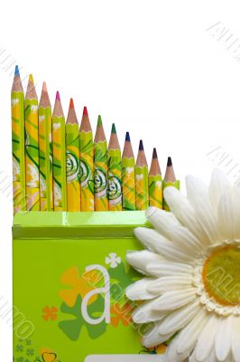 crayons in box &amp; flower