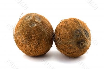 two coconuts