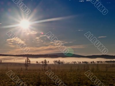 Foggy landscape