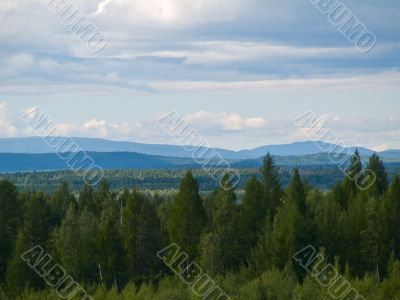 Wilderness forest and mountains