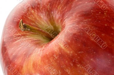 Red delicious apple