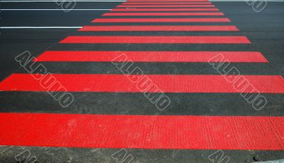 pedestrian crossing on a fresh asphalt