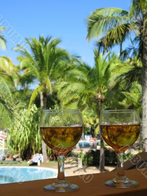 beer glasses in a tropical environment