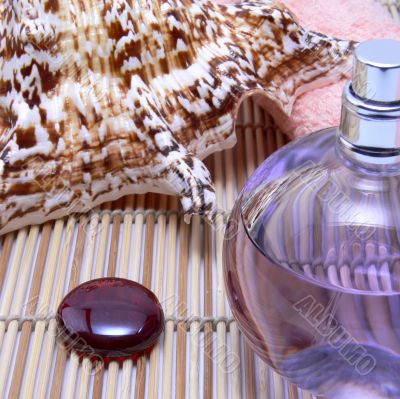 Sea shell and perfume bottle
