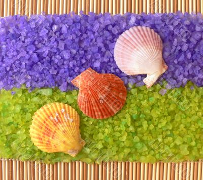 Sea shells on sea salt