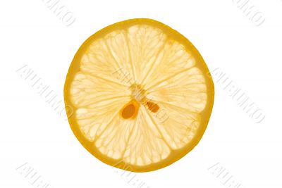 Isolated Lemon Slice on White Background