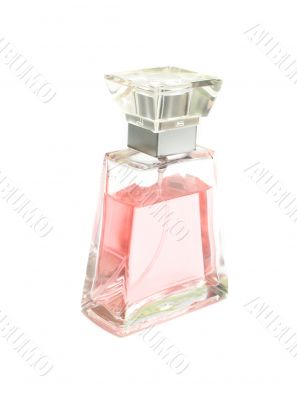 pink perfume pink perfume
