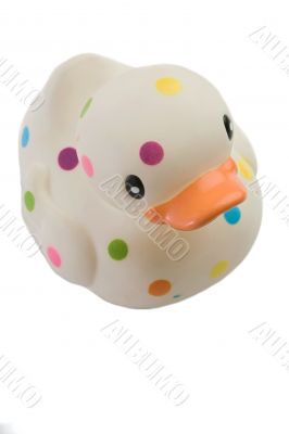 Speckled plastic duck