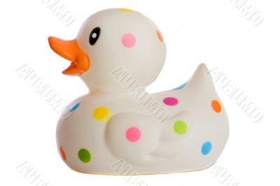 Speckled plastic duck