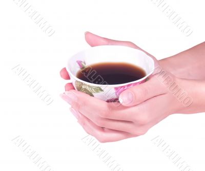 Female hands hold a coffee cup
