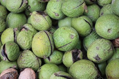 Circassian walnuts green