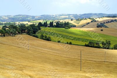 Marche - Landscape Marche - Landscape