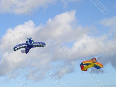 Stunt kites