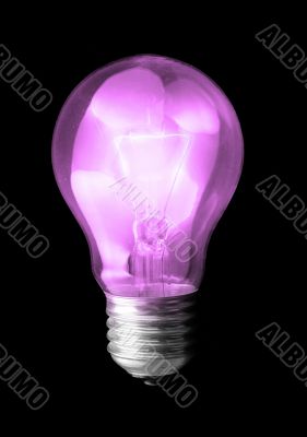 violet light bulb violet light bulb