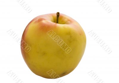 Yellow apple with stem isolated on white