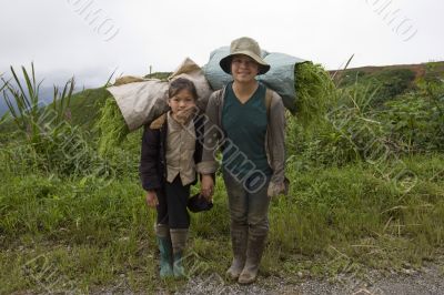 Hmong transports vegetables to the valley, Laos