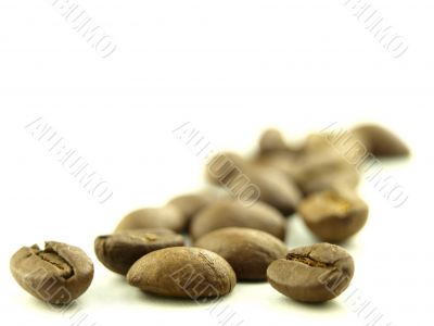 cinnamon and coffee beans