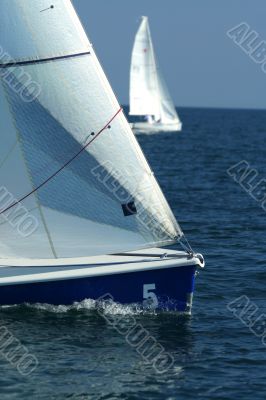 The winner and losed / Sailing sport / regatta
