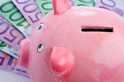 Pink piggy-bank over many notes