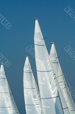 Sailing in Good Wind / sails background