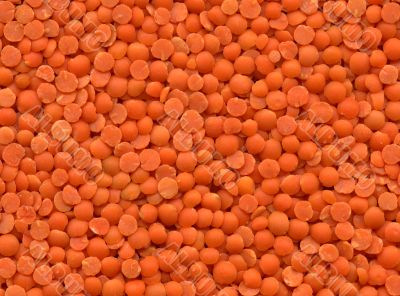 Lentils texture