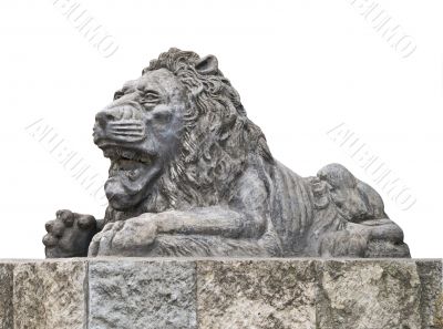 Stone lion