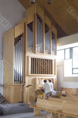Pipe Organ