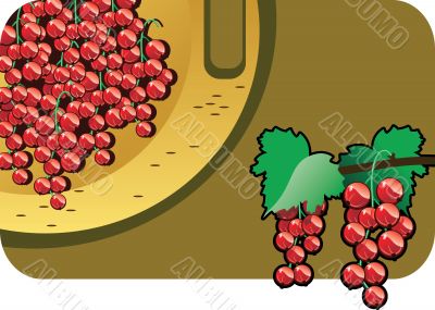 red currant red currant
