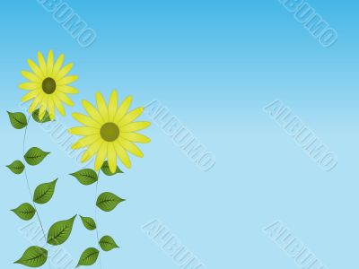 Daisy Sky Background