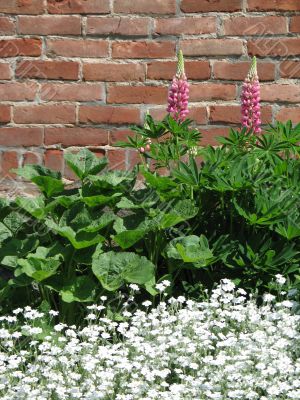 greenery against a brick wall