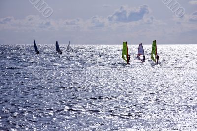 Seven windsurfers are at the Mediterranean Sea