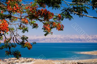 View of the Dead Sea, Israel