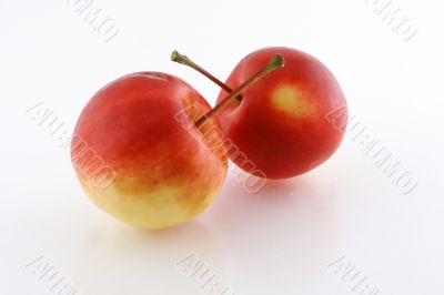 Apples