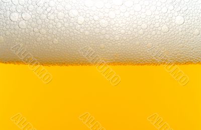 Beer Beer