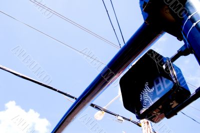 Pedestrian Signal