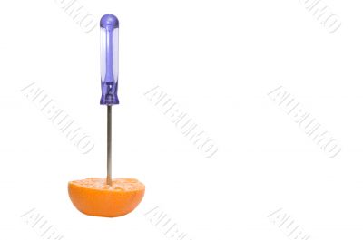 Screwdriver Screwdriver