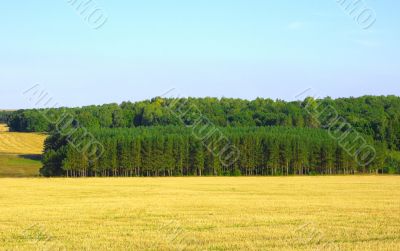 Autumn landscape Autumn landscape