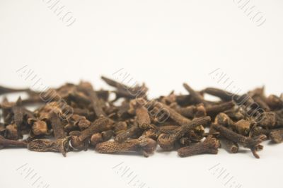 Cloves Cloves