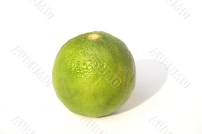 Lime Lime