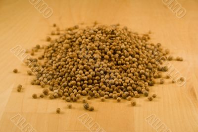 Coriander