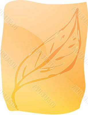 Leaf illustration Leaf illustration