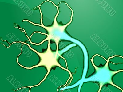 Nerve cells illustration