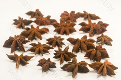 Star anise