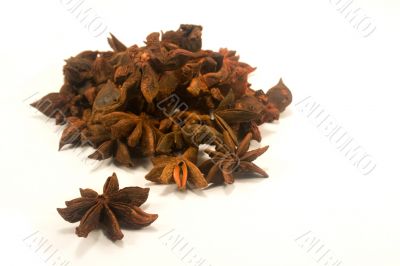 Star anise