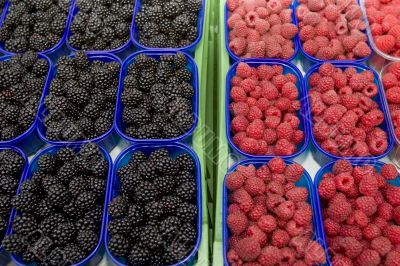 Blackberry and raspberry