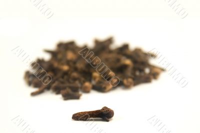 Cloves