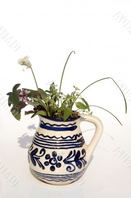 Fresh herbs in vase
